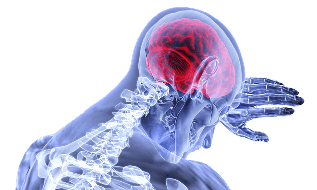 Neurologo a Domicilio Torino